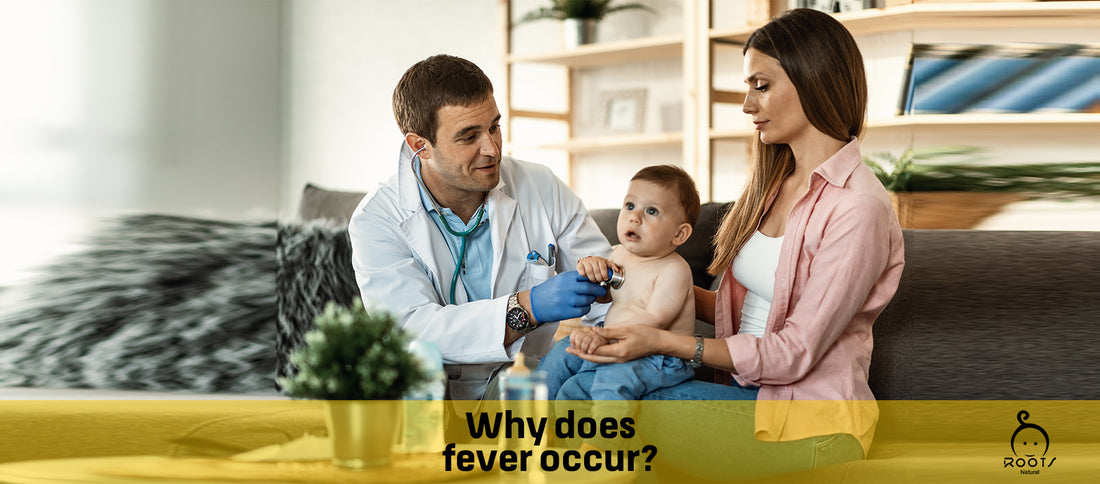 Why Does Fever Occur ?v=1667576970&width=1100